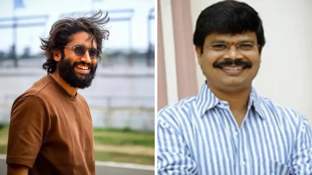 Naga Chaitanya Boyapati Srinu Mass Movie